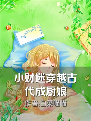 小财迷穿越古代成厨娘