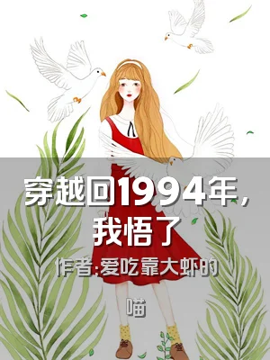 穿越回1994年，我悟了