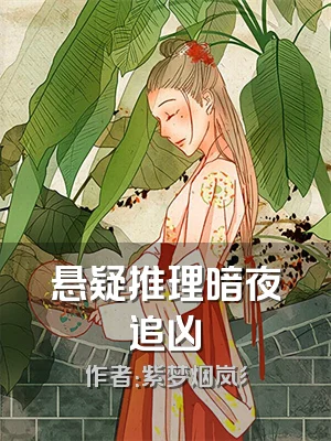 悬疑推理暗夜追凶