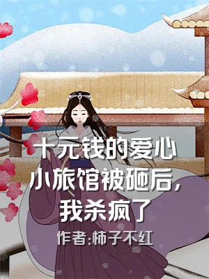 十元钱的爱心小旅馆被砸后，我杀疯了