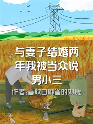 与妻子结婚两年我被当众说男小三