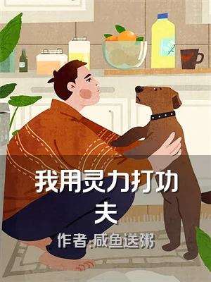 我用灵力打功夫