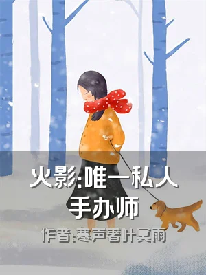 火影：唯一私人手办师