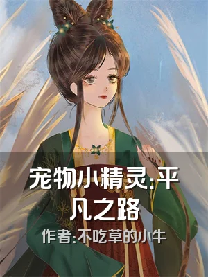 宠物小精灵：平凡之路