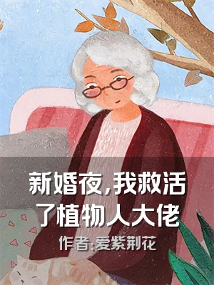 新婚夜，我救活了植物人大佬