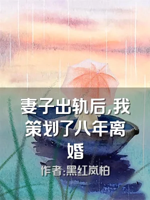 妻子出轨后，我策划了八年离婚