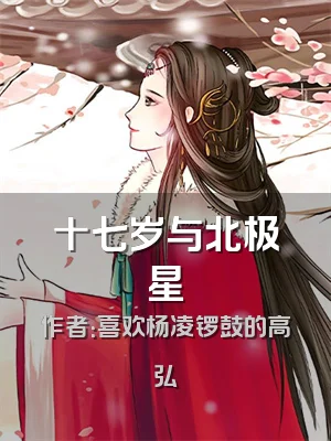 十七岁与北极星