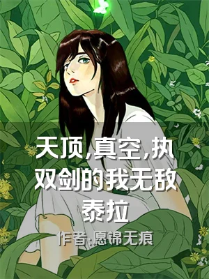 天顶，真空，执双剑的我无敌泰拉