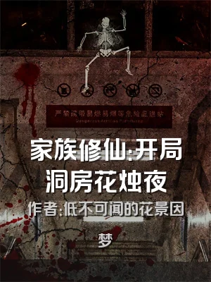 家族修仙：开局洞房花烛夜