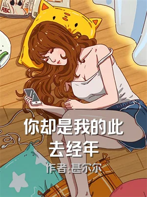 你却是我的此去经年