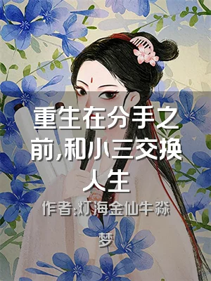 重生在分手之前，和小三交换人生