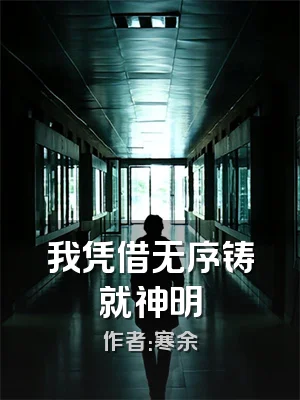 我凭借无序铸就神明