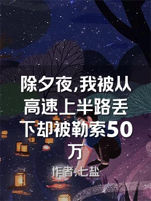 除夕夜，我被从高速上半路丢下却被勒索50万