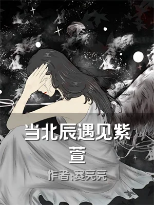 当北辰遇见紫萱