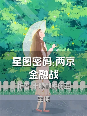 星图密码：两京金融战