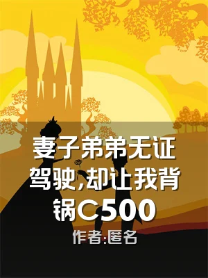 妻子弟弟无证驾驶，却让我背锅C500