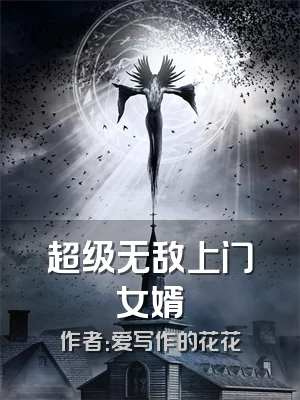 超级无敌上门女婿