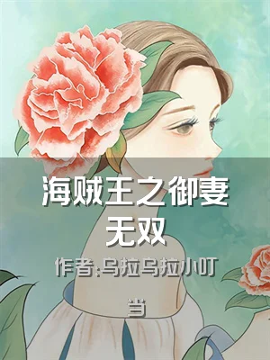 海贼王之御妻无双