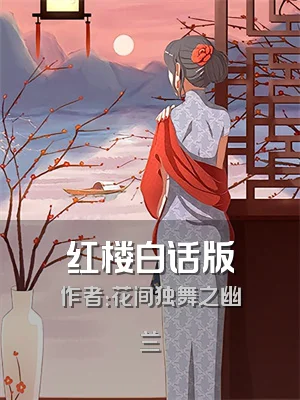 红楼白话版