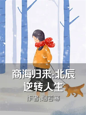 商海归来：北辰逆转人生
