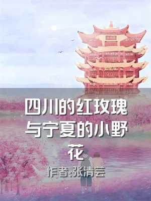 四川的红玫瑰与宁夏的小野花