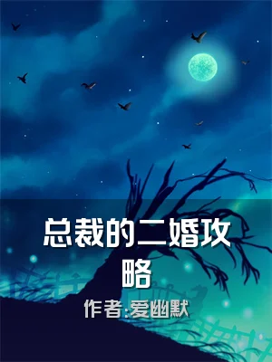 总裁的二婚攻略