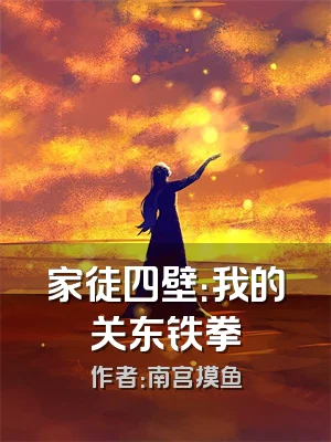 家徒四壁：我的关东铁拳