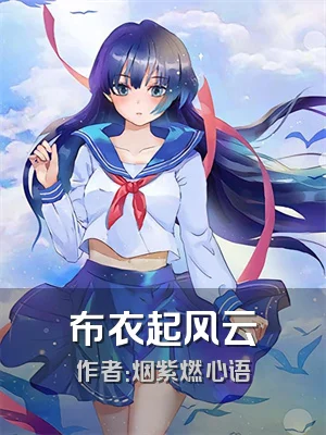 布衣起风云