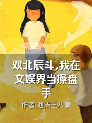 双北辰斗，我在文娱界当操盘手