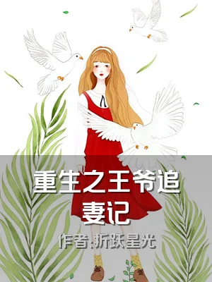 重生之王爷追妻记