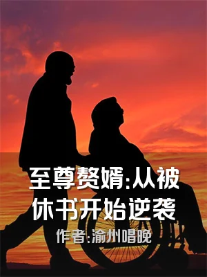 至尊赘婿：从被休书开始逆袭