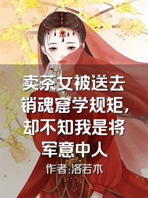 卖茶女被送去销魂窟学规矩，却不知我是将军意中人