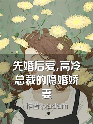 先婚后爱，高冷总裁的隐婚娇妻