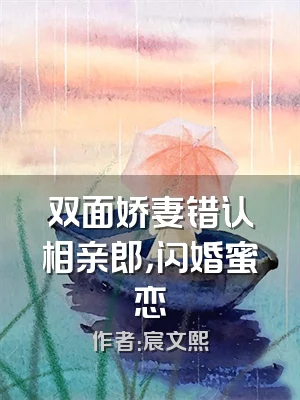双面娇妻错认相亲郎，闪婚蜜恋