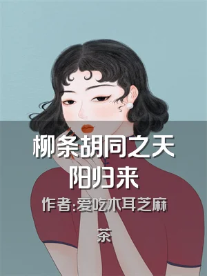 柳条胡同之天阳归来