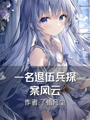 一名退伍兵探案风云