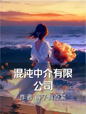 混沌中介有限公司
