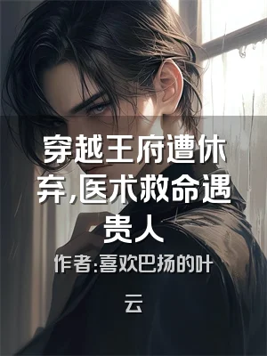穿越王府遭休弃，医术救命遇贵人