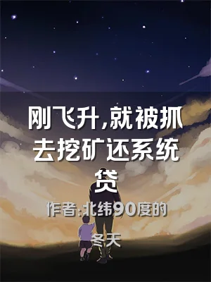 刚飞升，就被抓去挖矿还系统贷