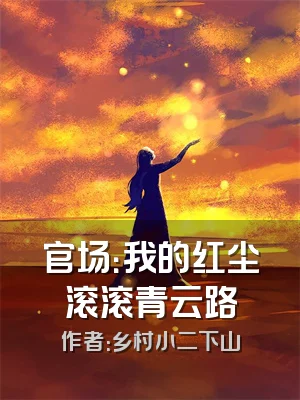 官场：我的红尘滚滚青云路