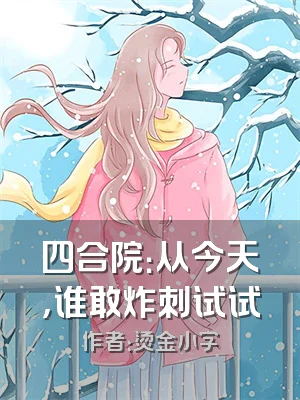 四合院：从今天，谁敢炸刺试试