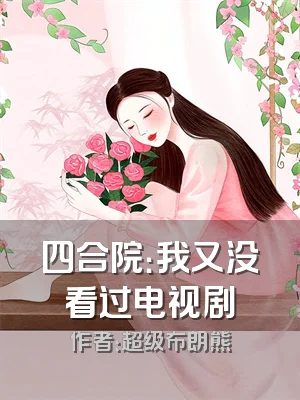 四合院：我又没看过电视剧