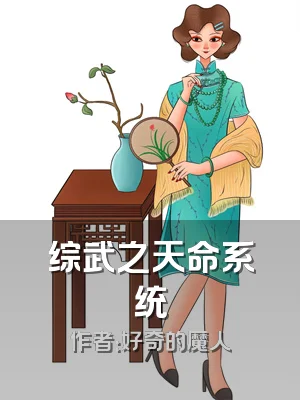 综武之天命系统