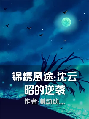 锦绣凰途：沈云昭的逆袭