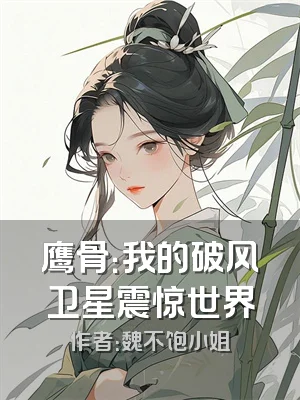鹰骨：我的破风卫星震惊世界
