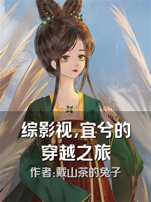综影视，宜兮的穿越之旅