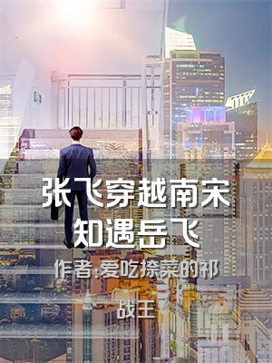 张飞穿越南宋知遇岳飞