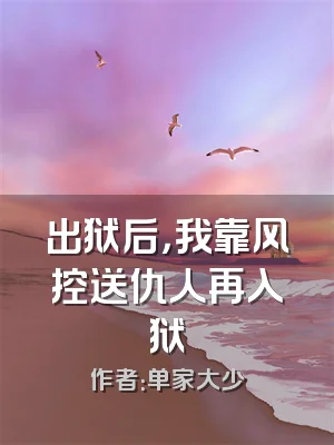 出狱后，我靠风控送仇人再入狱