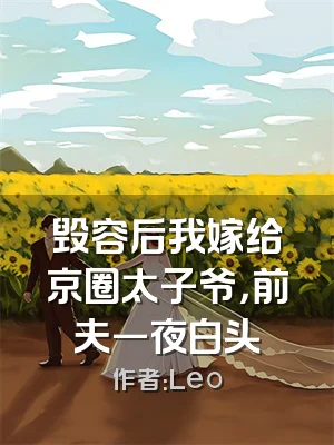 毁容后我嫁给京圈太子爷，前夫一夜白头