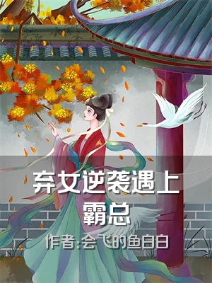 弃女逆袭遇上霸总